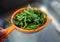 A female hand holds a fresh fragrant rukkola in a colander on th