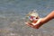 Female hand holds household garbage collected on beach and floating on surface of water