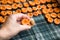 Female hand holds mellow apricot, pit preparing for sun drying