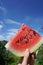 Female hand holds piece of watermelon