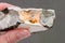 Female hand holds spoiled moldy old piece of food on gray background, close-up, selective focus. Dangerous food