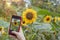 Female hand with mobile phone, making photo of bright sunflower blooming in the field on smartphone, selective focus. Modern