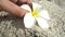 Female hand pick up white flower in the sand, concept ecology, green earth disaster destroyed, global warming, dry