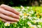 Female hand picking flowers.