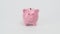Female hand puts metal coins into the slot of a pink ceramic piggy bank on a white background