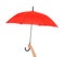 Female hand with stylish umbrella on white background