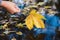 Female hand touches a fallen leaf in a puddle