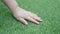 Female hand is touching artificial lawn grass.