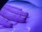 Female hand under UV paw. The process of fixing the varnish. The Nail Polish