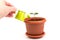 Female hand watering lemon tree sprout in pot with watering can. Watering young seedling at home. Gardening and ecology concept