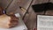 Female hand writing in a notebook on a wooden table with a pen, smartphone, and open Holy Bible Book, closeup