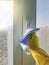 Female hand in yellow gloves washer window with a blue rag glass