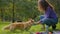 Female handler woman give water little friend dog welsh corgi in summer nature city park cute domestic animal drinking