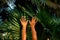 Female hands on the background palms leaf. Summer mood.