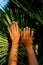 Female hands on the background palms leaf. Summer mood.