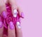 female hands beautiful manicure rose flower polish