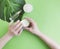 Female hands beautiful manicure spring treatment creative Monstera leaf, cosmetic cream on a color background