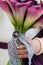 Female hands with a bouquet of burgundy flowers