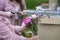 Female hands of florist creating summer modern bouquet of different flowers in pink purple colors in shop