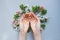 Female hands with flowers on the gray background. Ecology concept