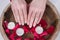 Female hands with french nails polish style and wooden bowl with water and floating candles and red rose petals