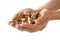 Female hands with gold nuggets on white background