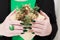 Female hands with green manicure hold a gift box for New Year