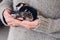 Female hands hold newborn blind sleeping kittens. Funny domestic animals