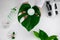 female hands hold skincare cream in glass jar on huge oily tropical plant leaf