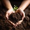 female hands hold the soil from which a green sprout grows, close-up. Ecology, earth day