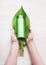 Female hands holding big green leaf with cosmetic bottle product on white background, top view.