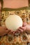 Female hands holding of big ostrich egg, size comparison. Huge white egg shell of african ostrich. Healthy food.