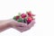 Female hands holding a bunch of delicious looking strawberries. Healthy food and lifestyle concept