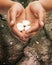 Female hands holding euro coins over ground