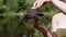 Female Hands Holding a European Pond Turtle on a Blurred Background of a River