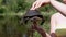 Female Hands Holding a European Pond Turtle on a Blurred Background of a River