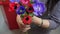 Female hands holding flowers bouquet from colorful poppy top view. Florist making poppy bouquet from colorful flowers.