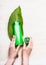 Female hands holding green cosmetic product bottle on white background green plants leaf , top view