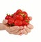 Female hands holding handful of strawberries isolated on white background