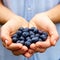 Female hands holding juicy blueberries