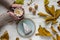 female hands holding marshmallows on shabby table with piece of cake, walnuts and scattered leaves