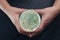 Female hands holding a Petri dish with bacterial colonies on agar-agar