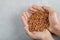 Female hands holding raw brown kidney beans