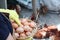 Female hands holding raw eggs and straw in basket, closeup ,using yellow handgloves