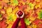 Female hands holding red apple over autumn leaves background. Vegan, vegetarian concept. Harvest time. Top view