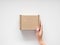 female hands holding a small cardboard box on a white background