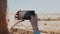 Female hands holding smartphone on a sunny day. Capturing moments. Woman takes phone photos of Jerusalem panorama 4K.