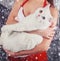 Female hands holding white snowy cat. Santa costume. Christmas lights background.