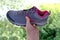 Female hands inspecting a pair of gray new womens trekking shoes with pink trim, tied with laces, concept of comfortable sports