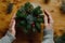 Female hands makes Christmas ikebana.